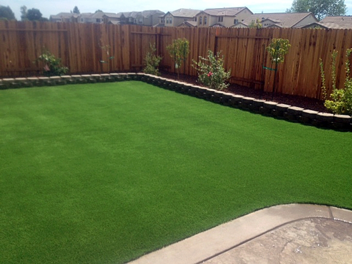 Synthetic Grass Fayetteville Texas Landscape Back Yard