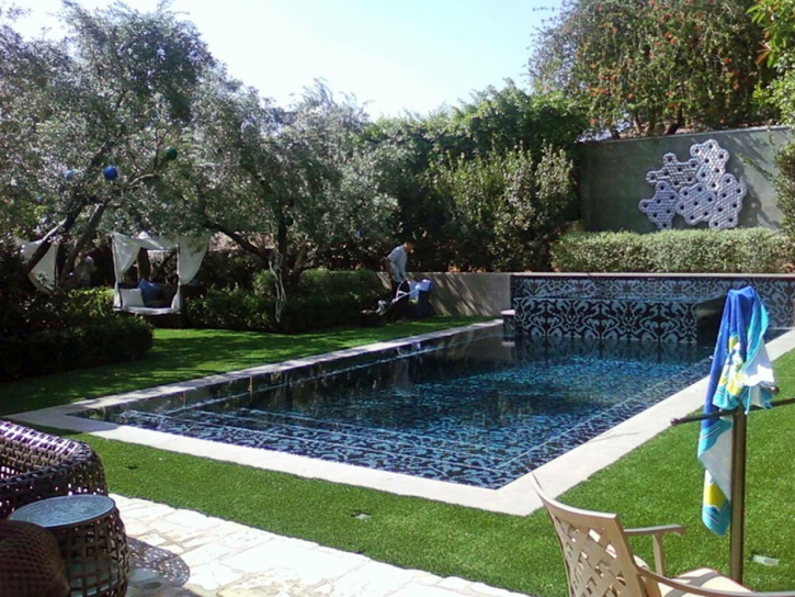 Synthetic Grass Flatonia Texas Lawn Summer Pools