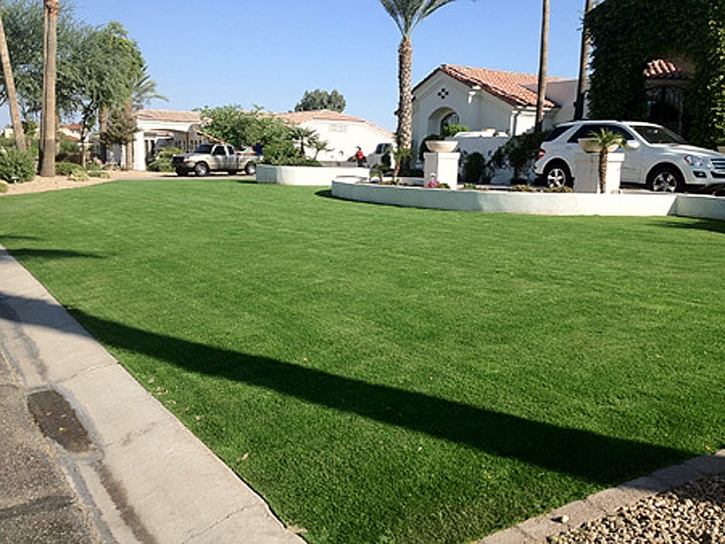 Synthetic Grass Fort Gates Texas Landscape Front Yard