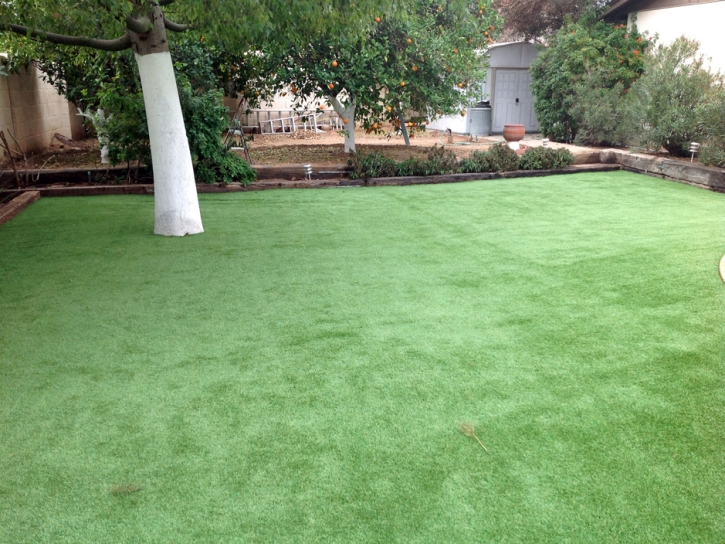 Synthetic Grass Garden Ridge Texas Lawn Back Yard