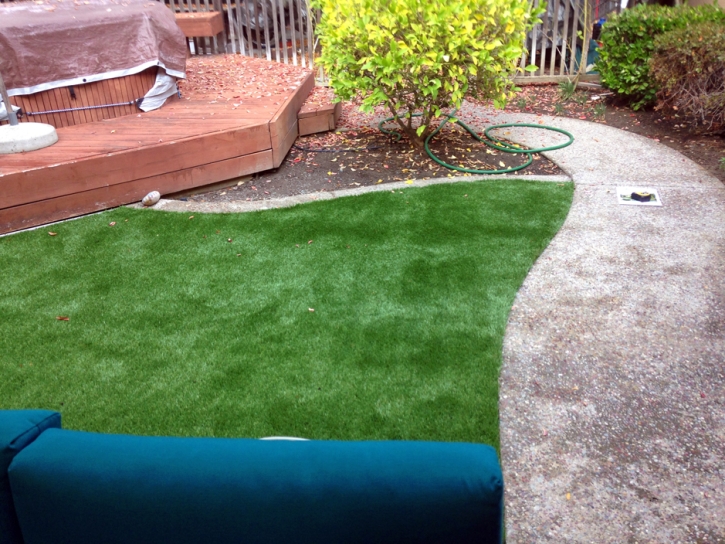 Synthetic Grass Helotes Texas Landscape Back Yard