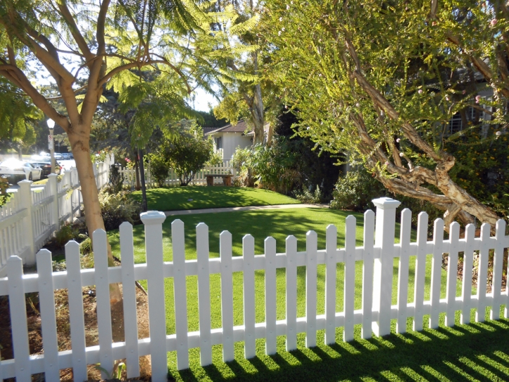 Synthetic Grass Highland Haven Texas Lawn Front Yard