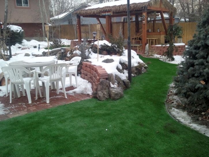 Synthetic Grass Hornsby Bend Texas Landscape Back Yard