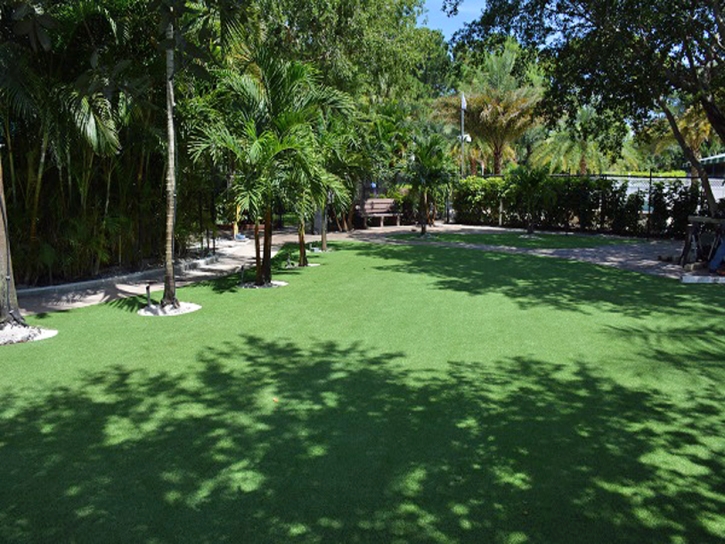 Synthetic Grass Jonestown Texas Lawn Commercial Landscape