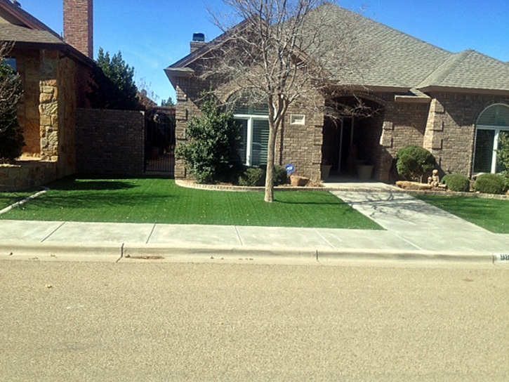 Synthetic Grass Kirby Texas Landscape Front Yard