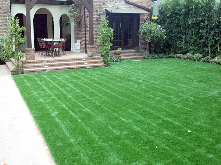 Synthetic Grass Liberty Hill Texas Lawn Front Yard