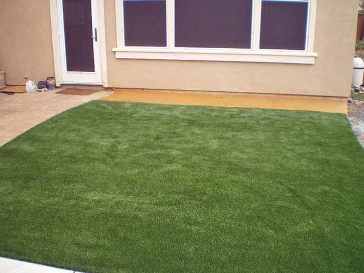 Synthetic Grass Lott Texas Landscape Back Yard