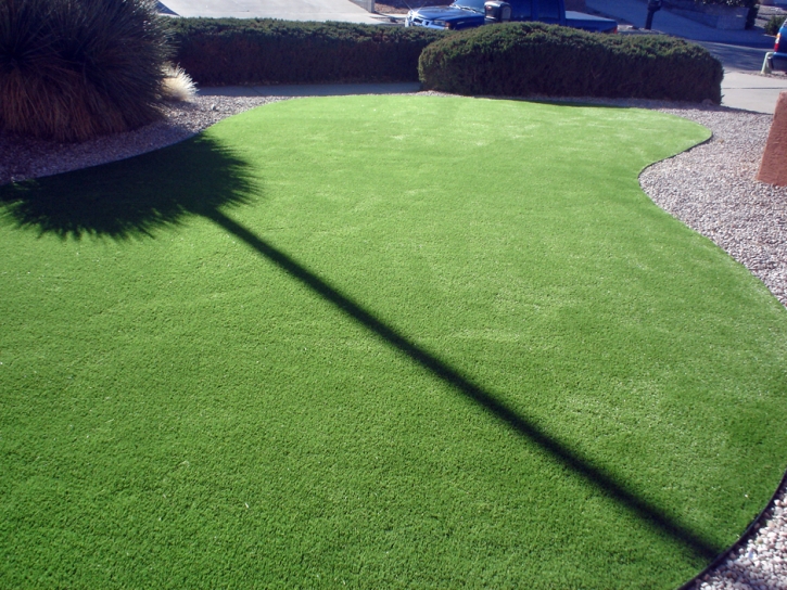 Synthetic Grass McDade Texas Landscape Front Yard