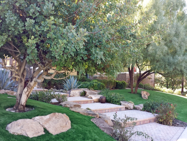 Synthetic Grass Meadowlakes Texas Landscape Back Yard