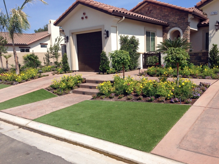 Synthetic Grass Moulton Texas Lawn Front Yard