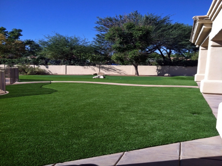 Synthetic Grass Mountain City Texas Landscape Front Yard