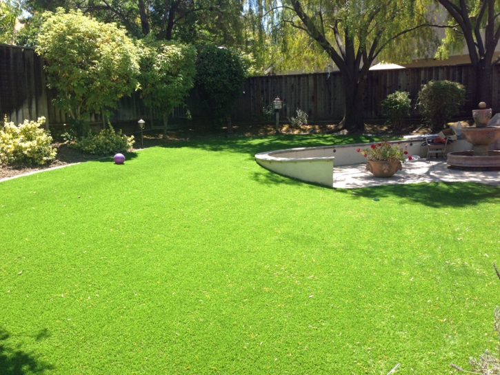 Synthetic Grass Mustang Ridge Texas Landscape Back Yard