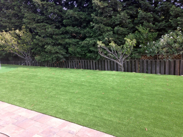 Synthetic Grass New Berlin Texas Landscape Back Yard