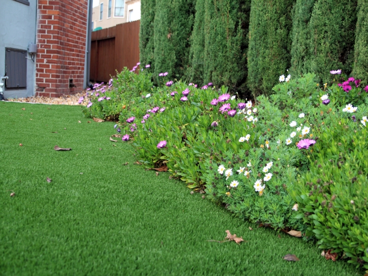 Synthetic Grass Oglesby Texas Landscape Front Yard