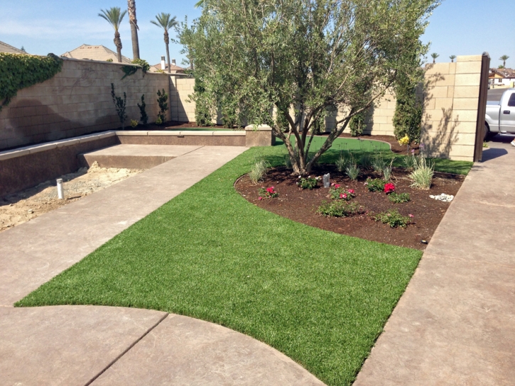 Synthetic Grass Point Venture Texas Lawn Front Yard