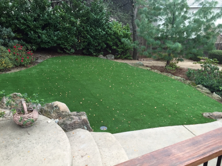 Synthetic Grass Robinson Texas Landscape