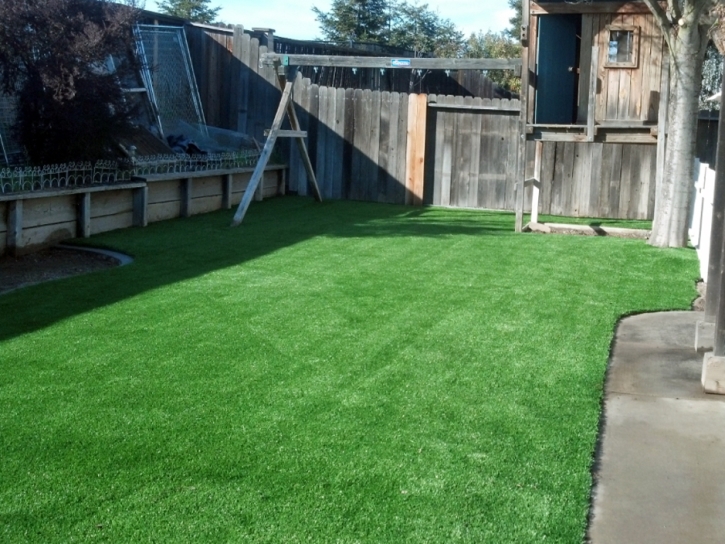 Synthetic Grass Rogers Texas Landscape Back Yard