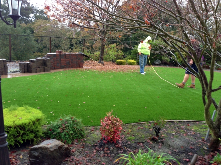 Synthetic Grass Round Top Texas Landscape Back Yard