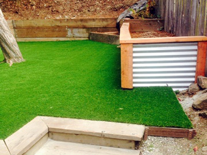 Synthetic Grass Salado Texas Lawn Back Yard