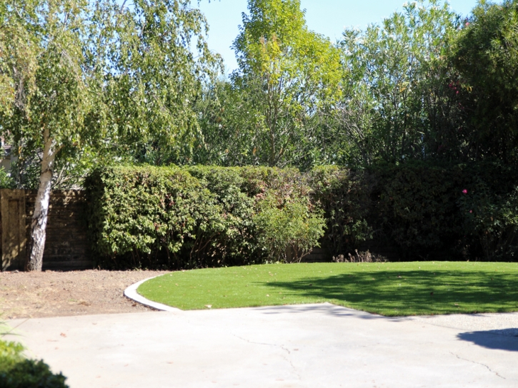 Synthetic Grass Santa Clara Texas Lawn Back Yard