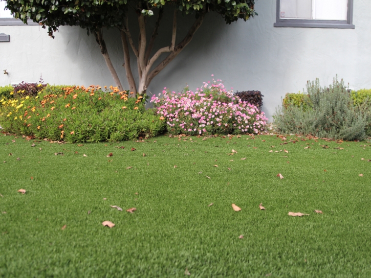 Synthetic Grass Somerset Texas Landscape Front Yard