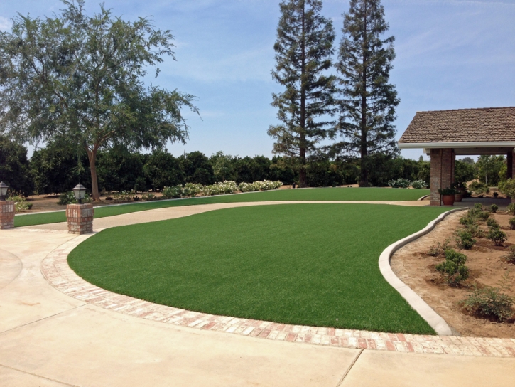 Synthetic Grass Sparks Texas Landscape Front Yard