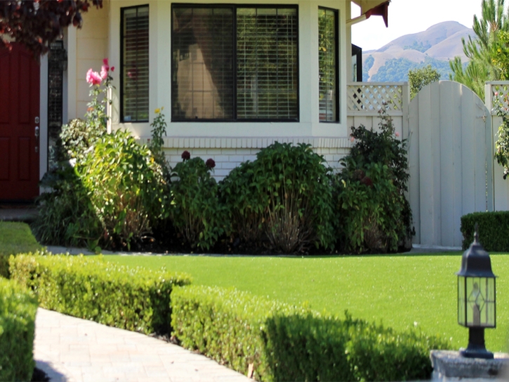 Synthetic Grass Temple Texas Lawn Front Yard