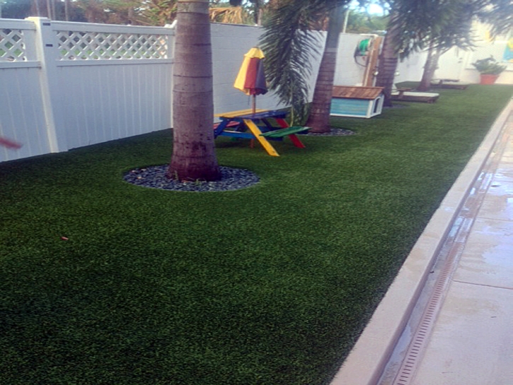 Synthetic Grass Terrell Hills Texas Lawn Back Yard