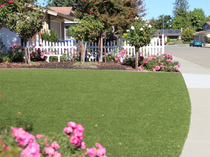 Synthetic Grass Timberwood Park Texas Lawn Front Yard