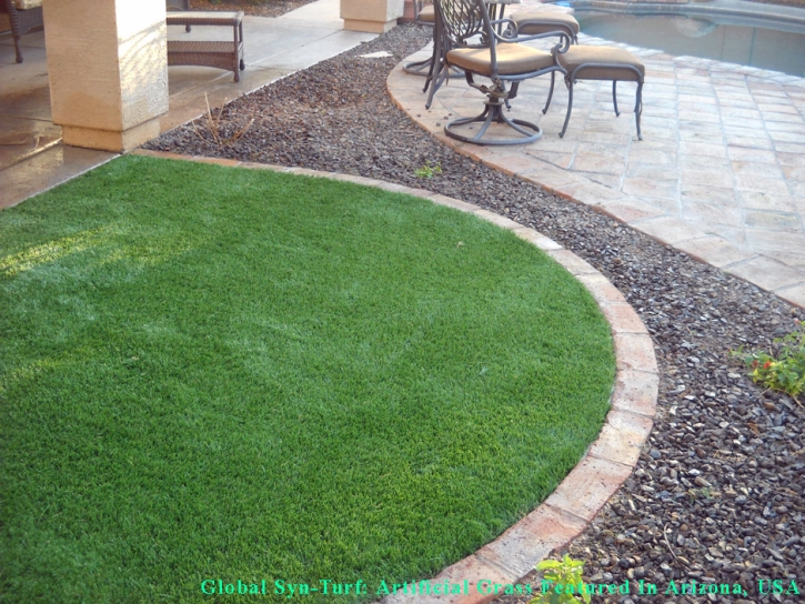 Synthetic Pet Grass Onion Creek Texas for Dogs Front Yard