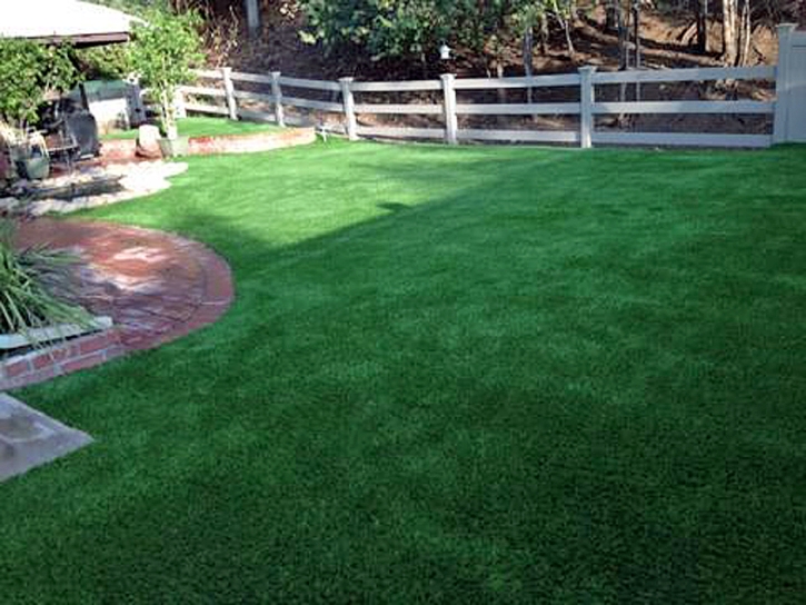 Synthetic Pet Grass Somerville Texas Installation Back Yard