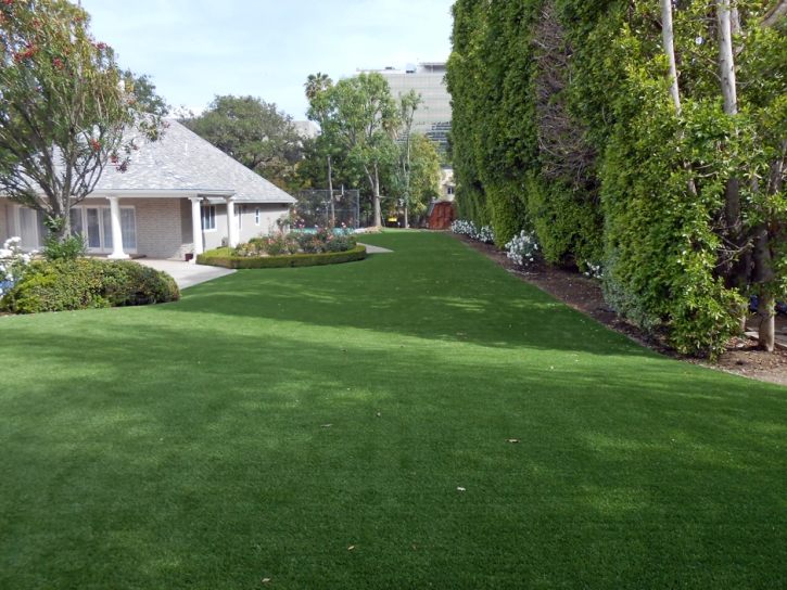 Synthetic Pet Grass Sunrise Beach Village Texas for Dogs