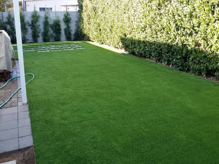 Synthetic Pet Turf Nolanville Texas for Dogs Pavers Back