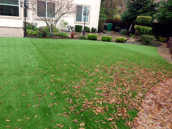 Synthetic Turf Alamo Heights Texas Landscape Back Yard