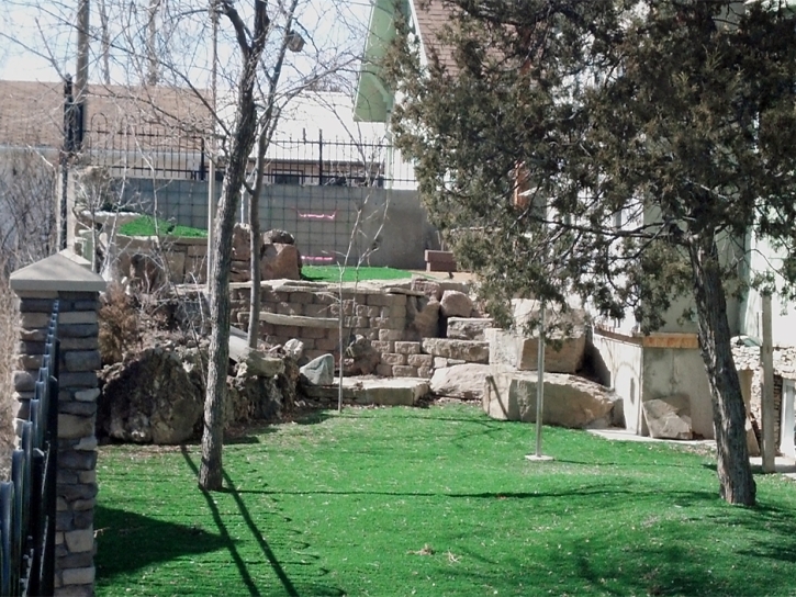 Synthetic Turf Bartlett Texas Landscape Back Yard