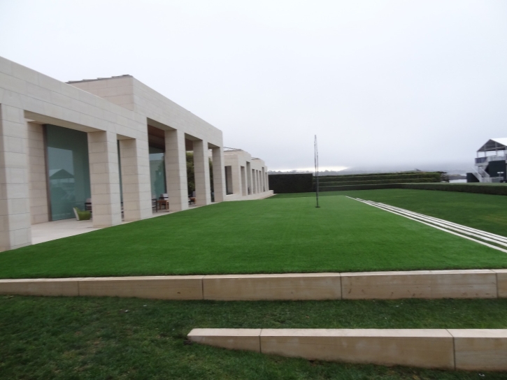 Synthetic Turf Barton Creek Texas Landscape Commercial