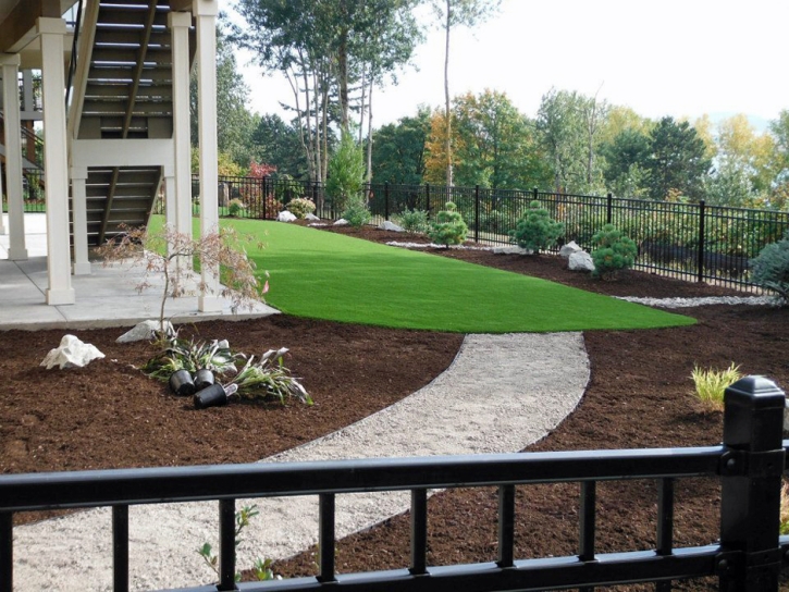 Synthetic Turf Bee Cave Texas Lawn Back Yard