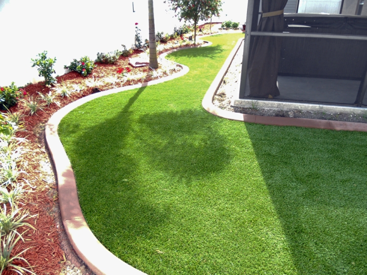 Synthetic Turf Bertram Texas Lawn Back Yard