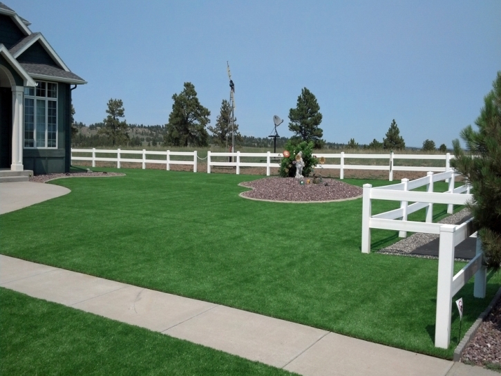 Synthetic Turf Blanco Texas Lawn Back Yard Front Yard