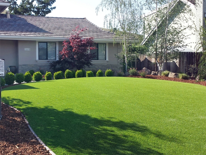 Synthetic Turf Briarcliff Texas Landscape Front Yard