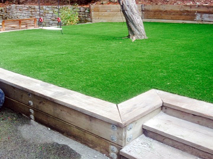 Synthetic Turf Buchanan Dam Texas Lawn Back Yard