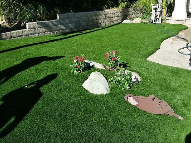 Synthetic Turf Buckholts Texas Lawn Front Yard