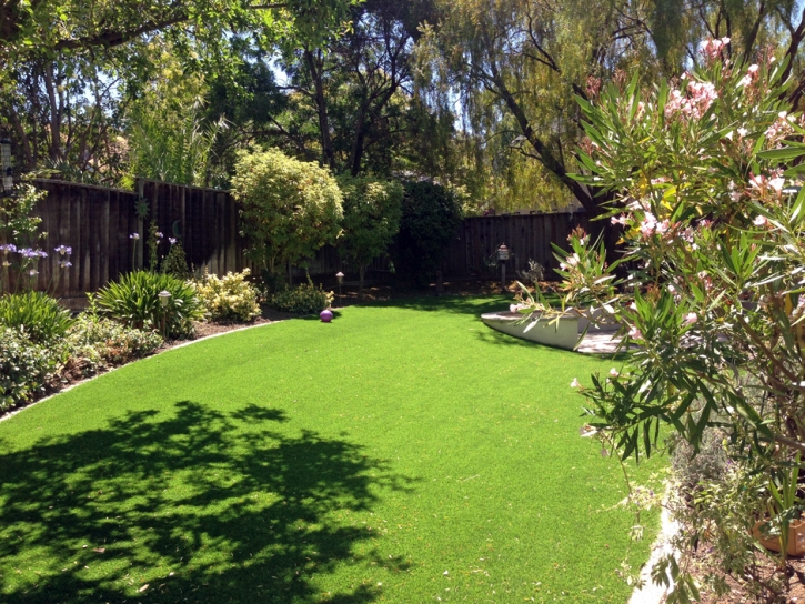 Synthetic Turf Buffalo Gap Texas Lawn Back Yard