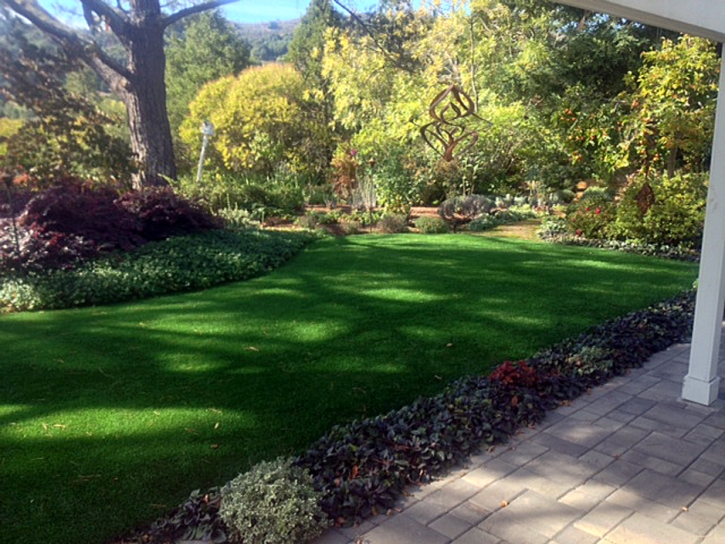 Synthetic Turf Burton Texas Landscape Back Yard