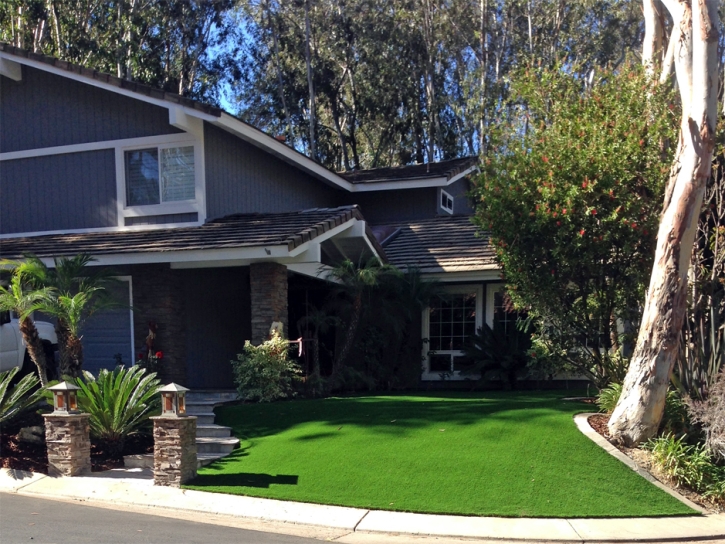 Synthetic Turf Calvert Texas Landscape Front Yard