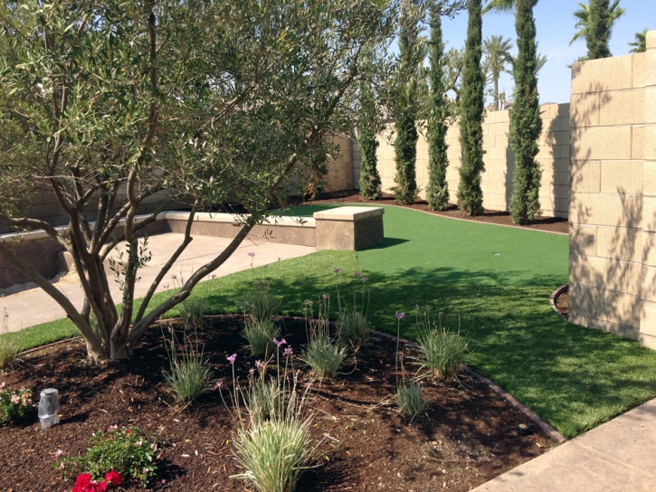 Synthetic Turf Cedar Park Texas Lawn Back Yard