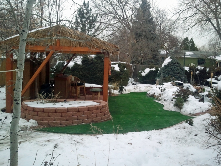 Synthetic Turf Cottonwood Shores Texas Lawn Back Yard Cold