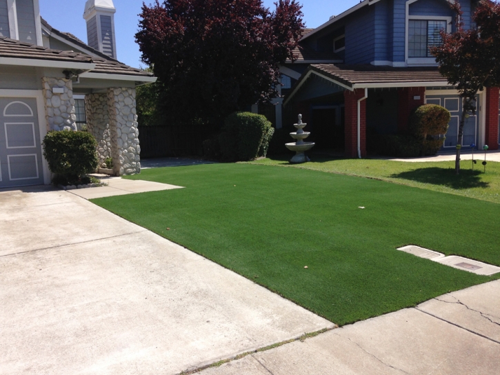 Synthetic Turf Dripping Springs Texas Landscape Front Yard