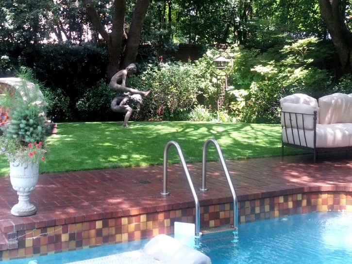 Synthetic Turf Fair Oaks Ranch Texas Lawn Summer Pools