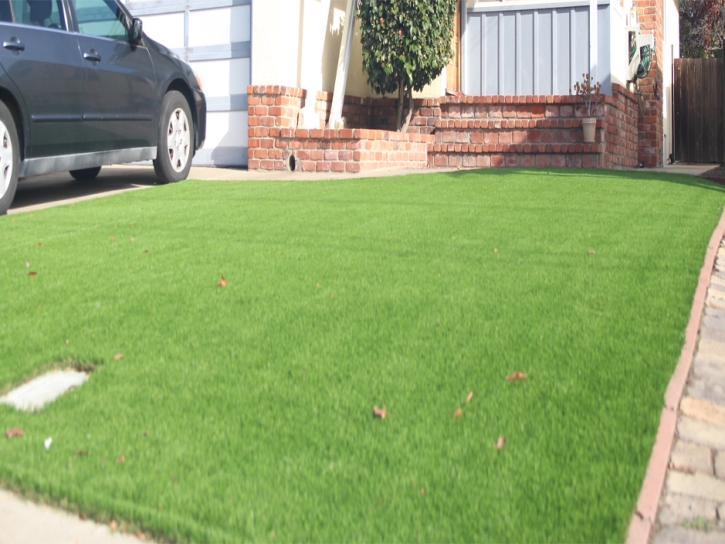 Synthetic Turf Fort Gates Texas Lawn Front Yard